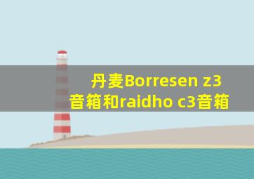 丹麦Borresen z3音箱和raidho c3音箱